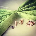 Wish 招待所